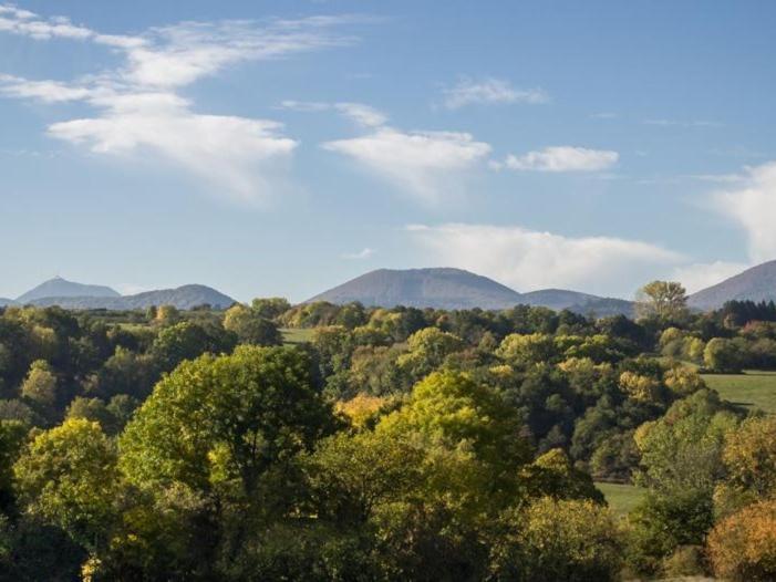 Reves De Bois Villa Loubeyrat Buitenkant foto