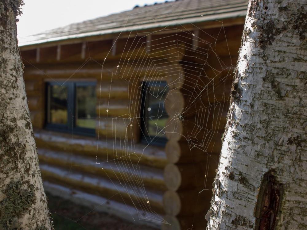 Reves De Bois Villa Loubeyrat Buitenkant foto